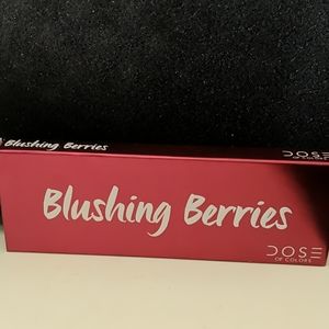 Blushing Berries DOSE of Colors eyeshadow palette